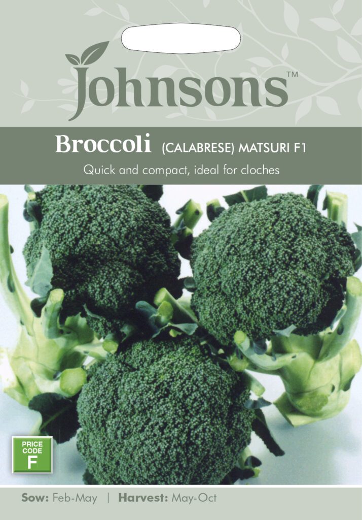 Broccoli (Calabrese) Matsuri F1