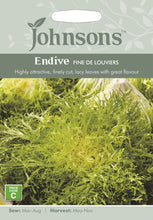 Load image into Gallery viewer, Endive Fine De Louviers
