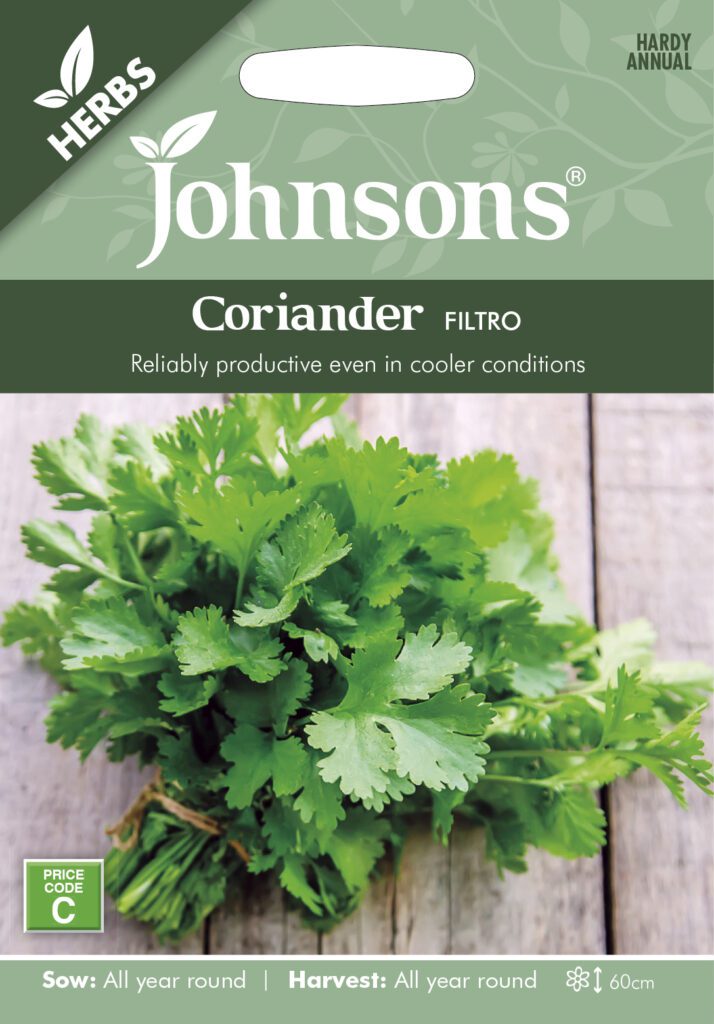 Coriander Filtro