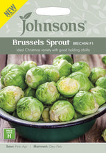 Load image into Gallery viewer, Brussels Sprout Brechin F1
