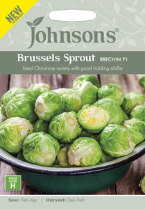 Brussels Sprout Brechin F1