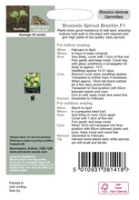 Load image into Gallery viewer, Brussels Sprout Brechin F1
