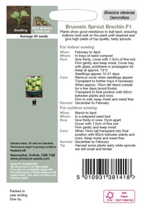 Brussels Sprout Brechin F1