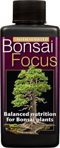 Bonsai Focus 300ml