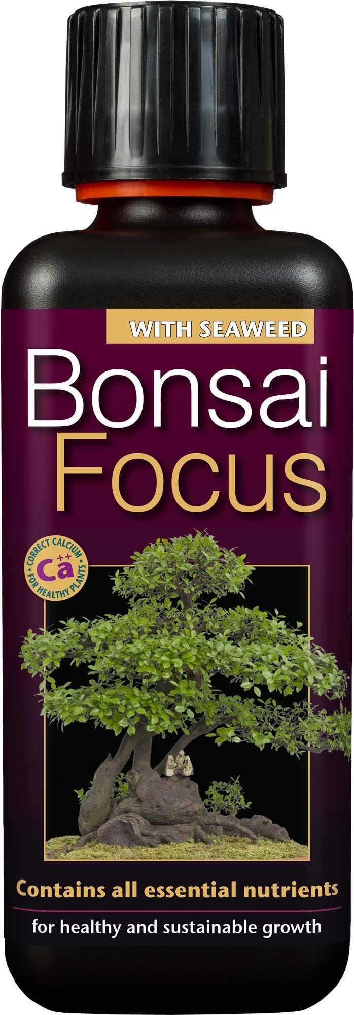 Bonsai Focus 100ml