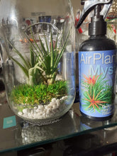 Load image into Gallery viewer, Air Plant Myst 300ml
