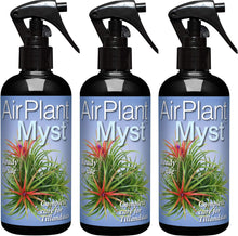 Load image into Gallery viewer, Air Plant Myst 300ml
