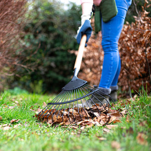 Wire Leaf Rake