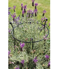 Load image into Gallery viewer, Cottage Garden Ring - Small
