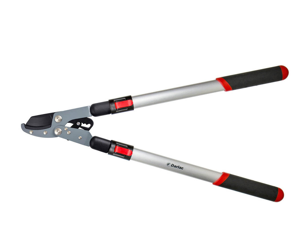 Telescopic Ratchet Lopper