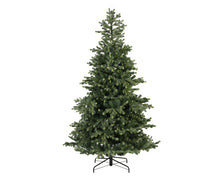 Load image into Gallery viewer, Geneva Fir Tree
