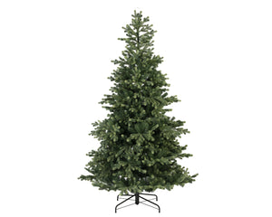 Geneva Fir Tree
