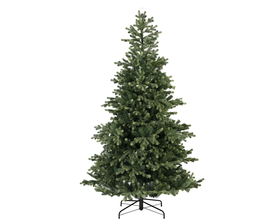 Geneva Fir Tree