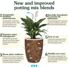 Load image into Gallery viewer, Houseplant Peat Free Compost 20L
