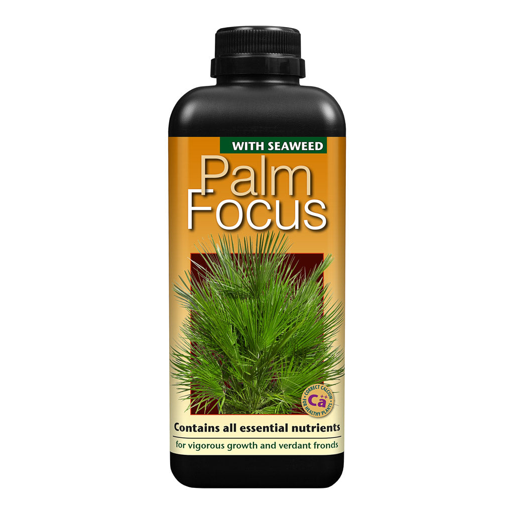 Palm Focus 300ml