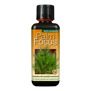 Palm Focus 100ml