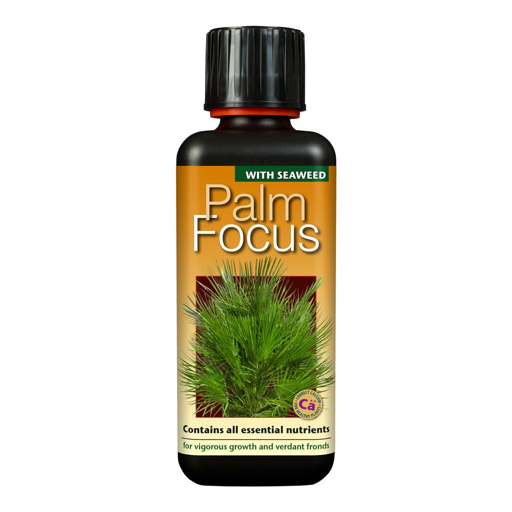 Palm Focus 100ml