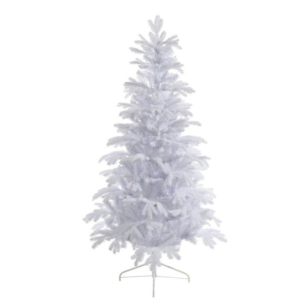 Sunndal Fir Tree