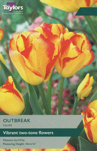 Tulip Outbreak