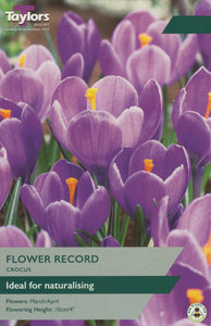 Crocus Flower Record