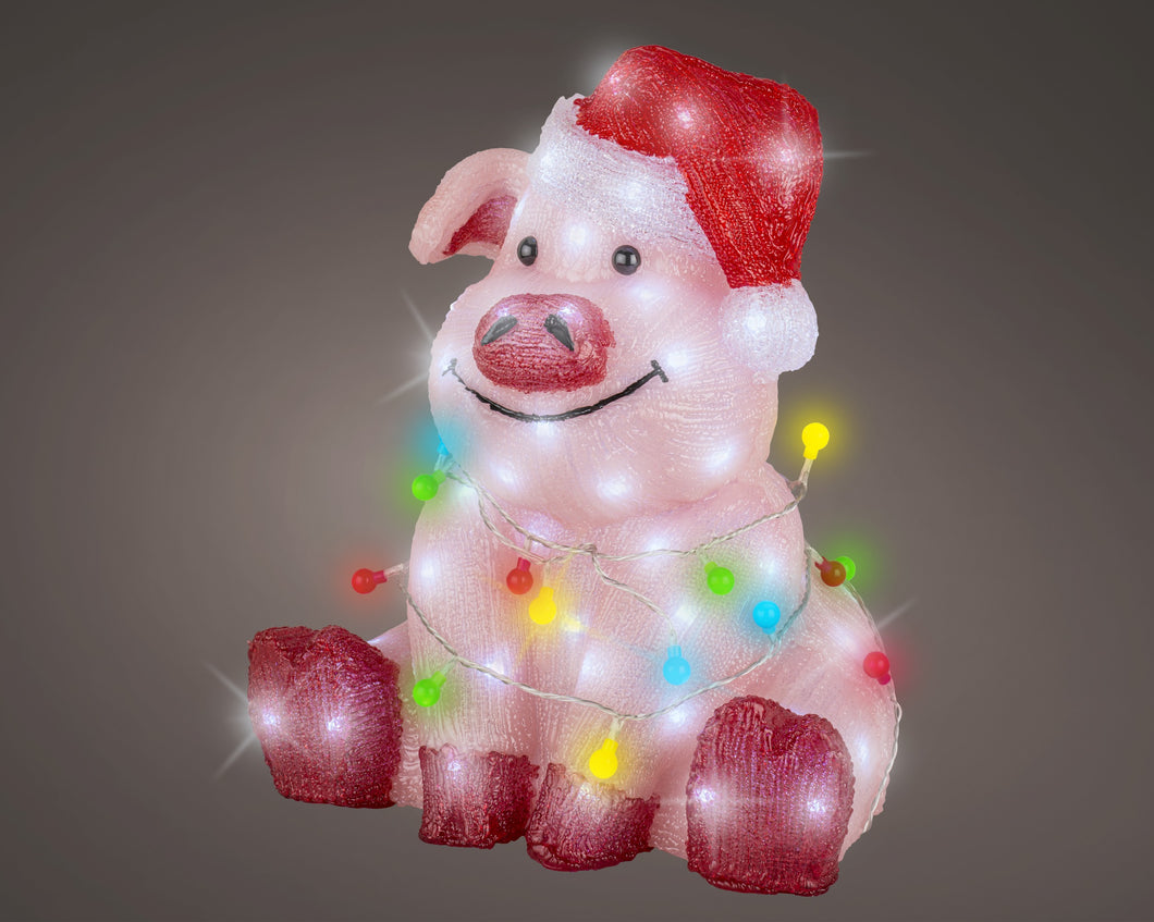 LED Acrylic Pig