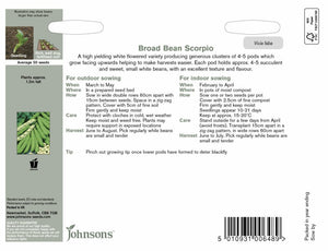 Broad Bean Scorpio