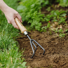 Load image into Gallery viewer, Kent &amp; Stowe Hand 3 Prong Cultivator - Carbon Steel
