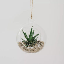 Load image into Gallery viewer, Grow it Glass Globe Terrarium
