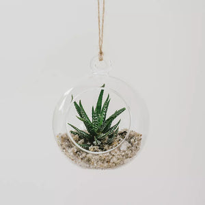 Grow it Glass Globe Terrarium