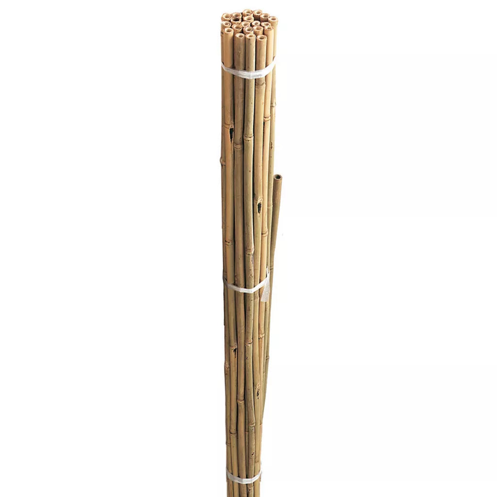 Bamboo Canes Pack