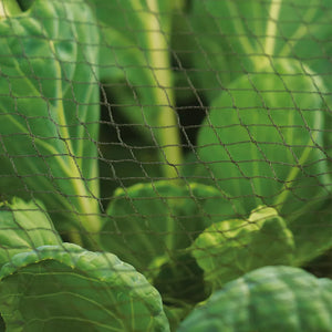 Knitted Garden Netting