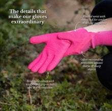 Load image into Gallery viewer, Kent &amp; Stowe Ultimate All Round Gardening Gloves - Pink
