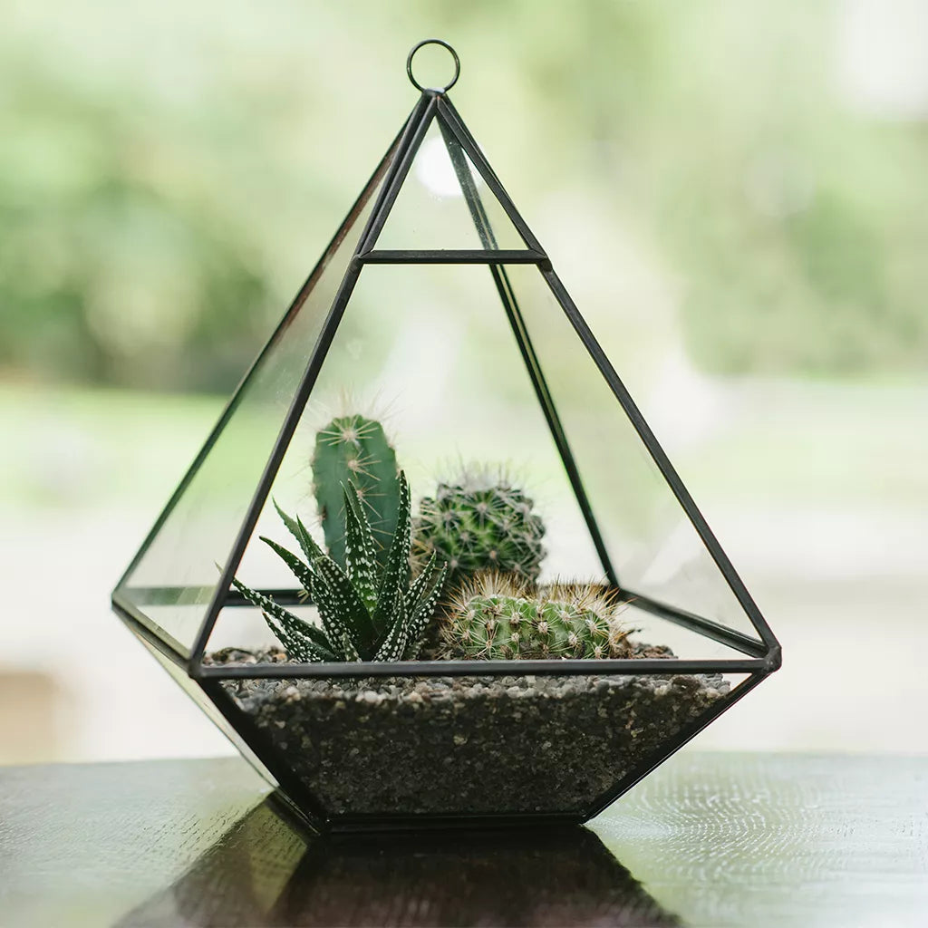 succulent pyramid Grow it Glass Pyramid Terrarium – Milestone Garden Centre