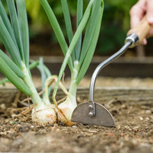 Load image into Gallery viewer, Kent &amp; Stowe Hand Onion Hoe - Stainless Steel
