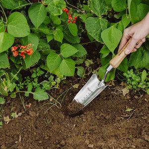 Kent & Stowe Hand Transplanting Trowel - Stainless Steel