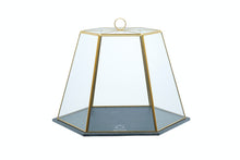 Load image into Gallery viewer, Artesa Terrarium Serving Set

