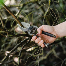 Load image into Gallery viewer, Kent &amp; Stowe Lite Anvil Secateurs

