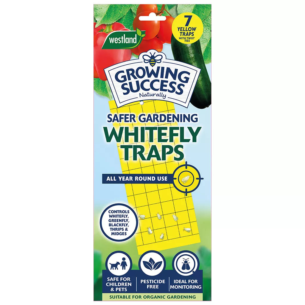 Whitefly Traps