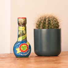 Load image into Gallery viewer, Baby Bio Cactus Food 175ml
