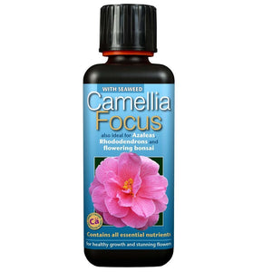 Camellia Focus 300Ml