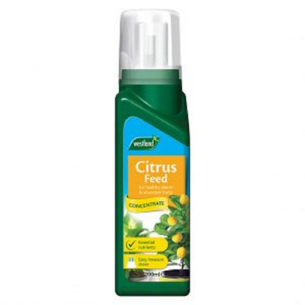 Citrus Feed 200Ml Concentrate