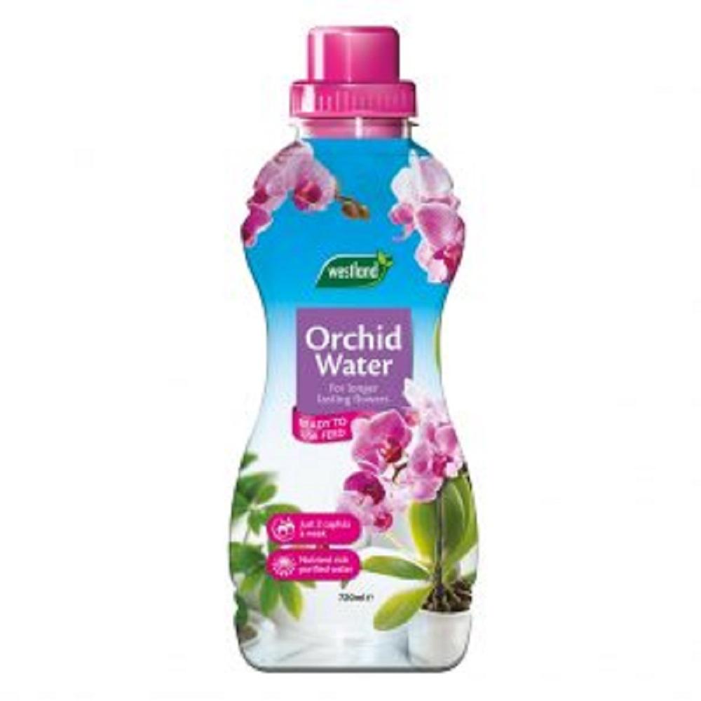 Orchid Water 720Ml Rtu