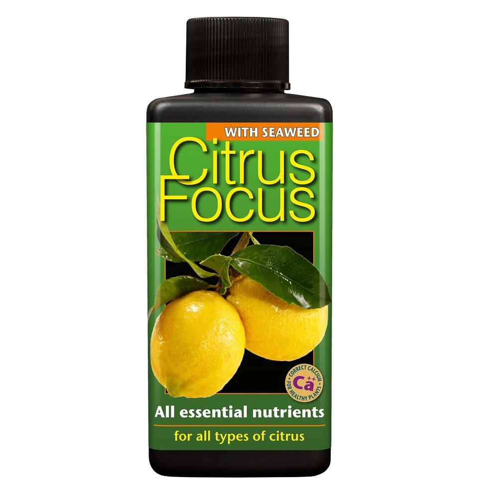 Citrus Focus 100Ml