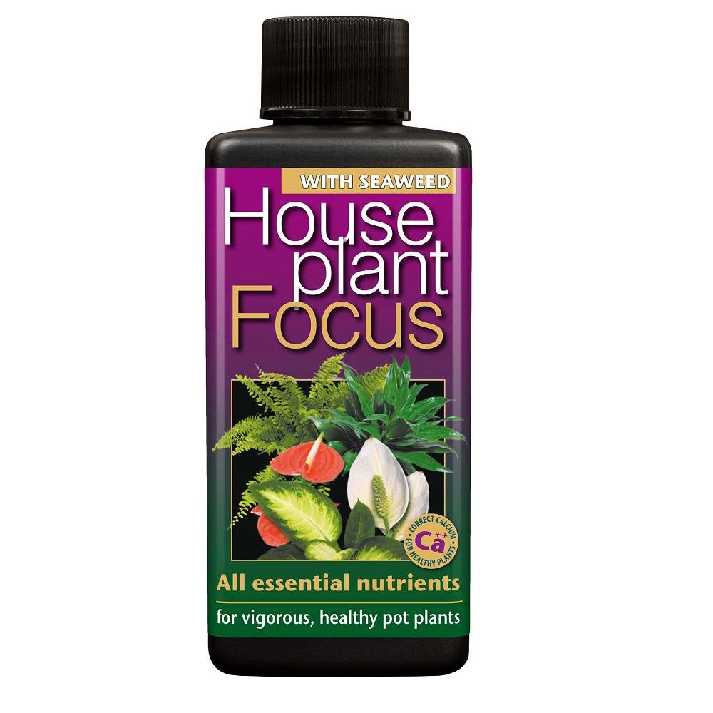 Houseplant Focus     100 ml