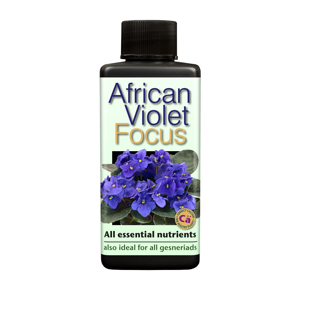 African Violet Focus 100Ml