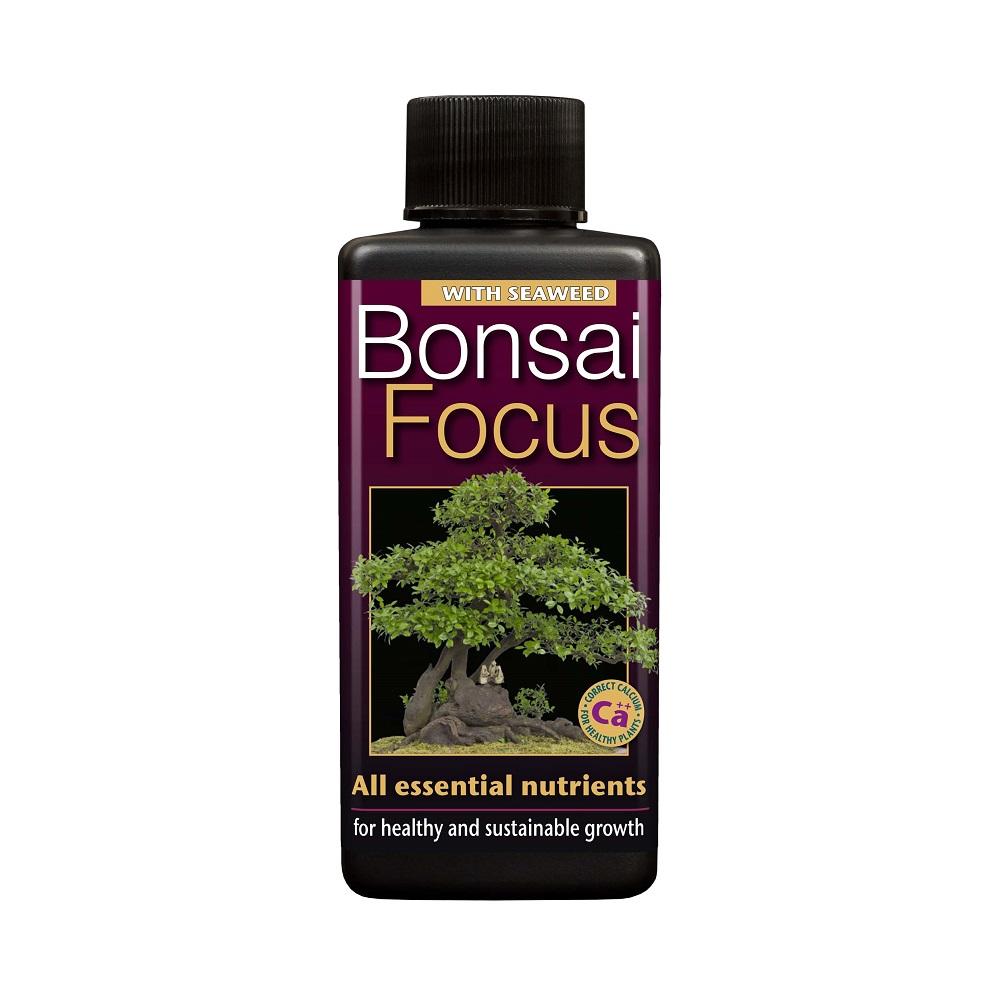 Bonsai Focus 100Ml