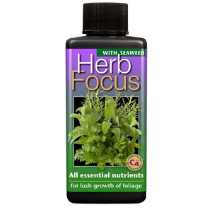 Herb Focus 100Ml