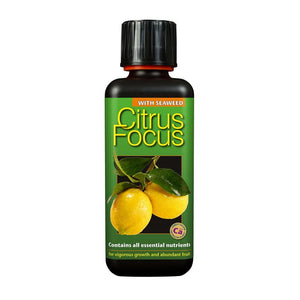 Citrus Focus     300 ml