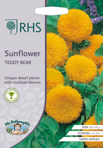RHS- Sunflower Teddy Bear