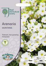 Load image into Gallery viewer, RHS- Arenaria Montana
